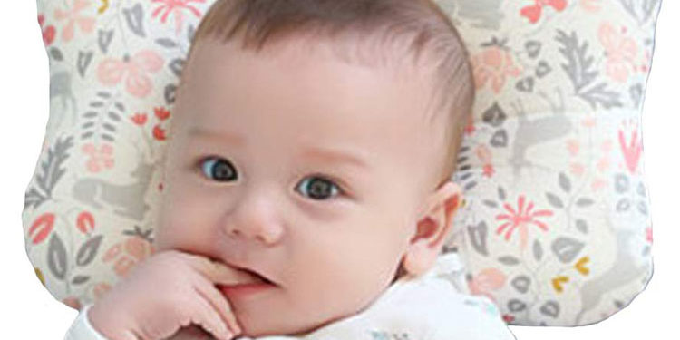 baby pillow elephant